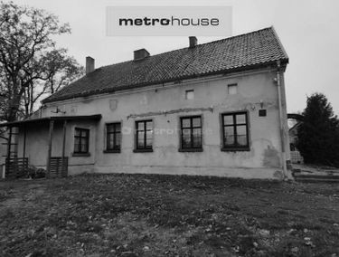 Zdjęcie 15528415