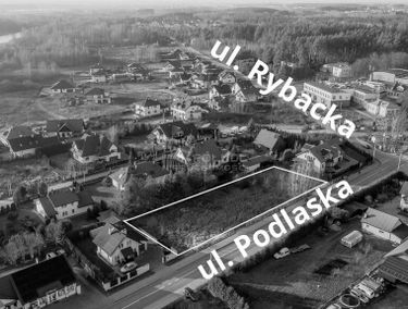 Zdjęcie 15528624