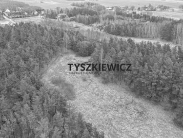 Zdjęcie 15528655