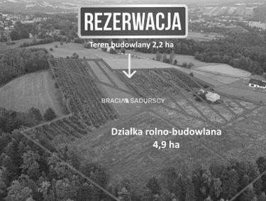 Zdjęcie 15529304