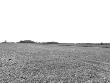 Zdjęcie 15529669