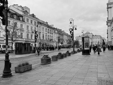 Zdjęcie 15529899