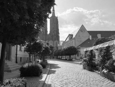 Zdjęcie 15530205
