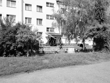 Zdjęcie 15530247