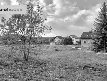 Zdjęcie 15530408