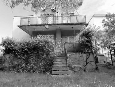 Zdjęcie 15531560
