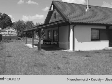Zdjęcie 15532040