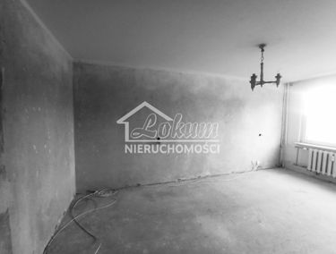Zdjęcie 15533038