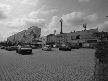 Zdjęcie 15533184