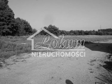 Zdjęcie 15533199