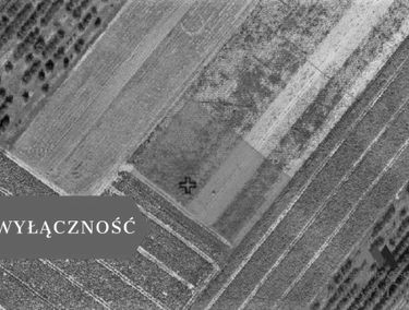Zdjęcie 15533280