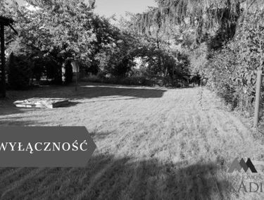 Zdjęcie 15533285