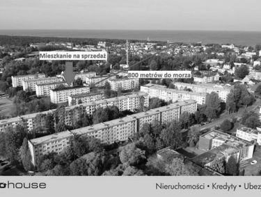 Zdjęcie 15533803
