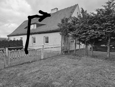 Zdjęcie 15533889