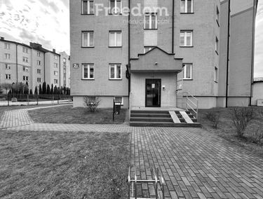 Zdjęcie 15534021