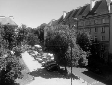 Zdjęcie 15534079