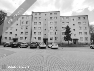 Zdjęcie 15534319
