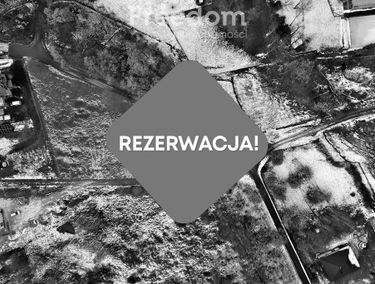 Zdjęcie 15535180