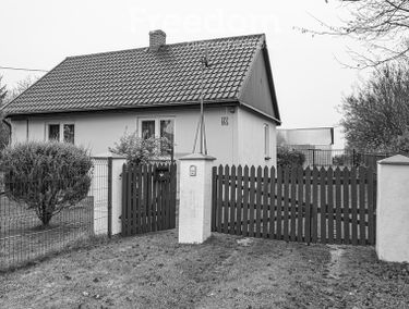 Zdjęcie 15535416