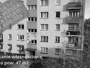 Zdjęcie 15535418