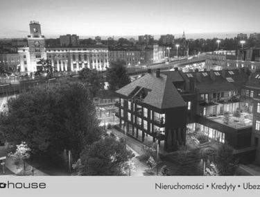 Zdjęcie 15535972