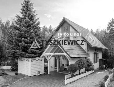 Zdjęcie 15536390