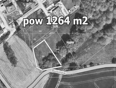 Zdjęcie 15536439