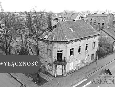 Zdjęcie 15536544