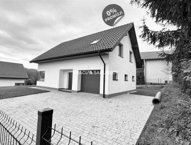 Zdjęcie 15537662