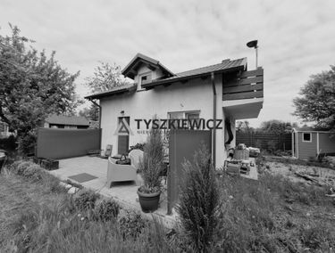 Zdjęcie 15537817
