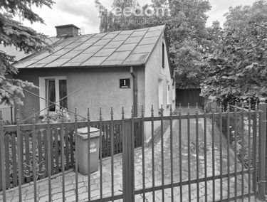 Zdjęcie 15538164