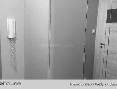Zdjęcie 15538183