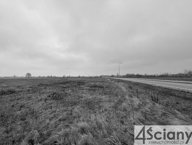 Zdjęcie 15539265