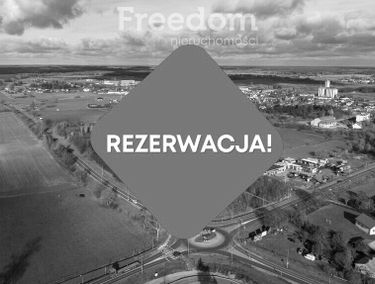Zdjęcie 15539483