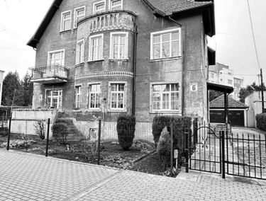 Zdjęcie 15539495