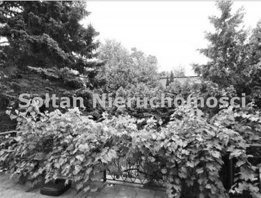 Zdjęcie 15539504