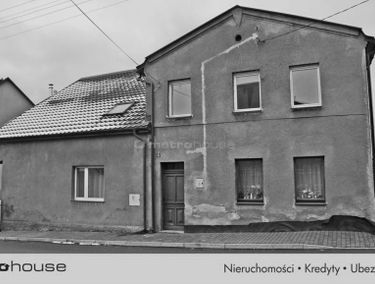 Zdjęcie 15539540