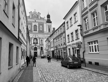 Zdjęcie 15540358