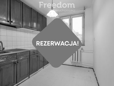 Zdjęcie 15540455