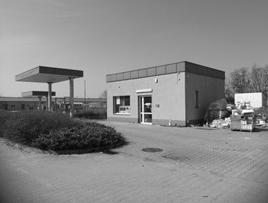 Zdjęcie 15540537
