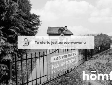 Zdjęcie 15540855