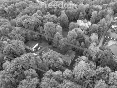 Zdjęcie 15541743