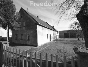 Zdjęcie 15541744