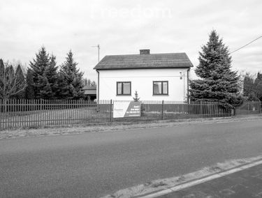 Zdjęcie 15541748