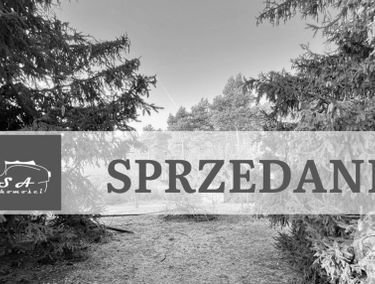 Zdjęcie 15541965