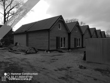 Zdjęcie 15542045