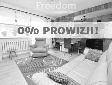 Zdjęcie 15542507