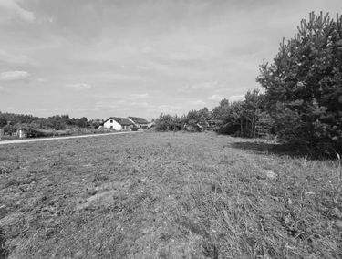 Zdjęcie 15543010