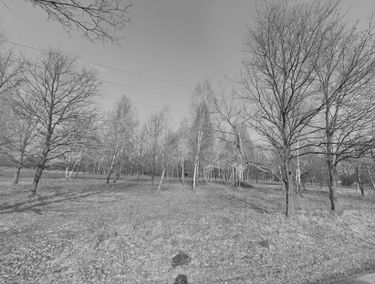 Zdjęcie 15543087