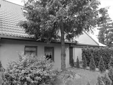 Zdjęcie 15543090